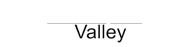 StartupValley.news